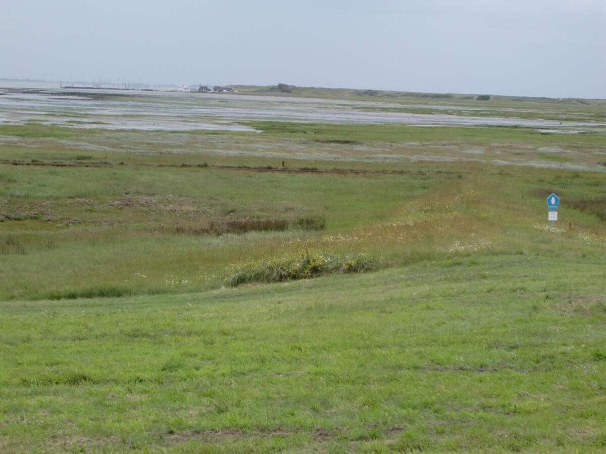 Wattwurm Διαμέρισμα Wangerooge Εξωτερικό φωτογραφία